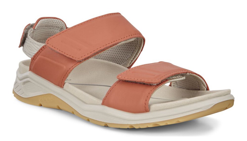 Sandalias Mujer - ECCO X-Trinsic Flat - Albaricoque - LWN465180